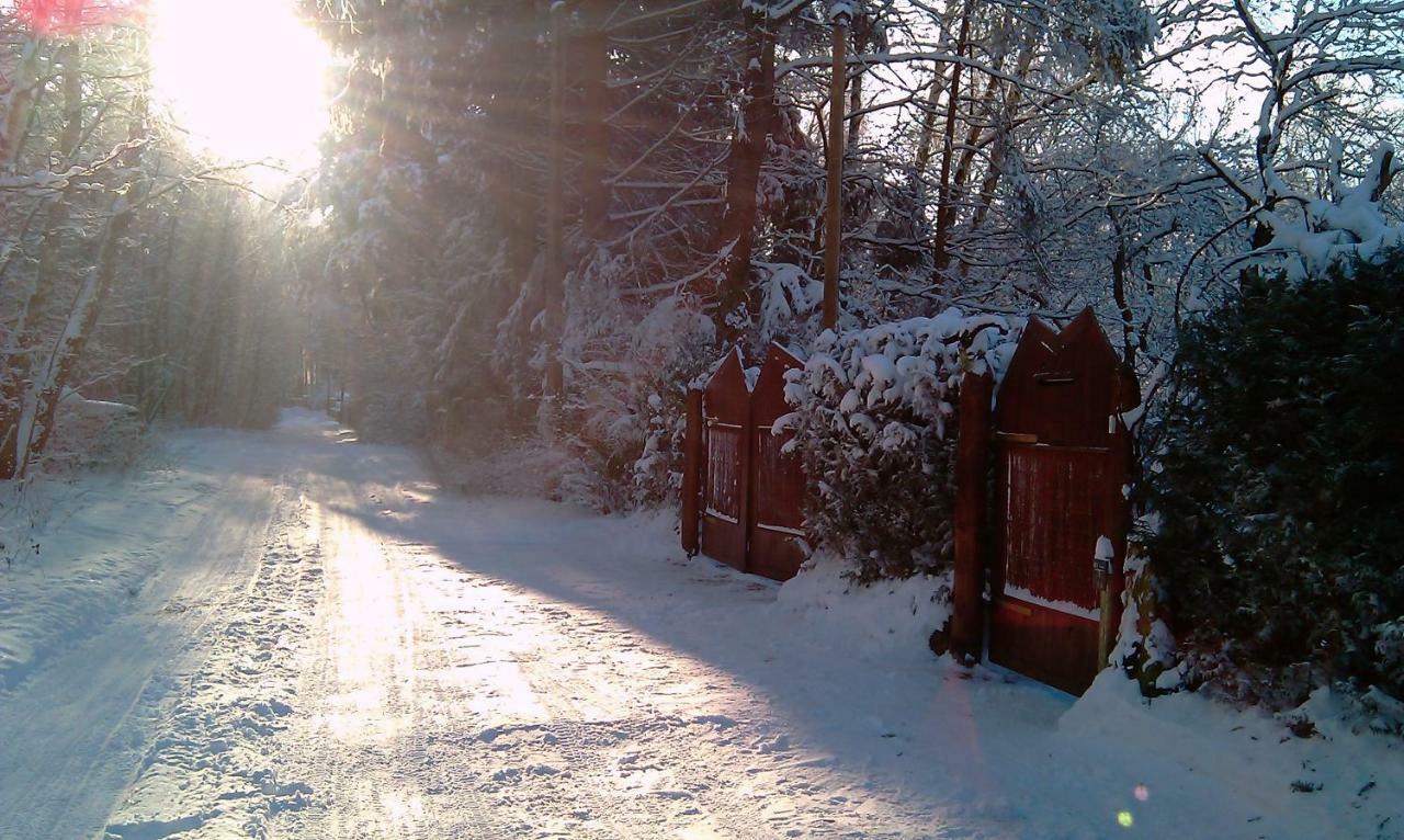 Holzhaus Trollbluemchen Am Wald Und See Neuruppin Exterior photo